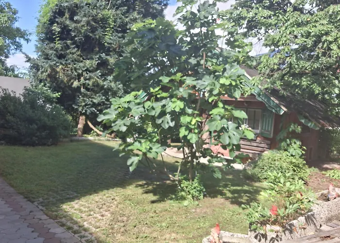 Ganzes Haus Mit Almcharakter