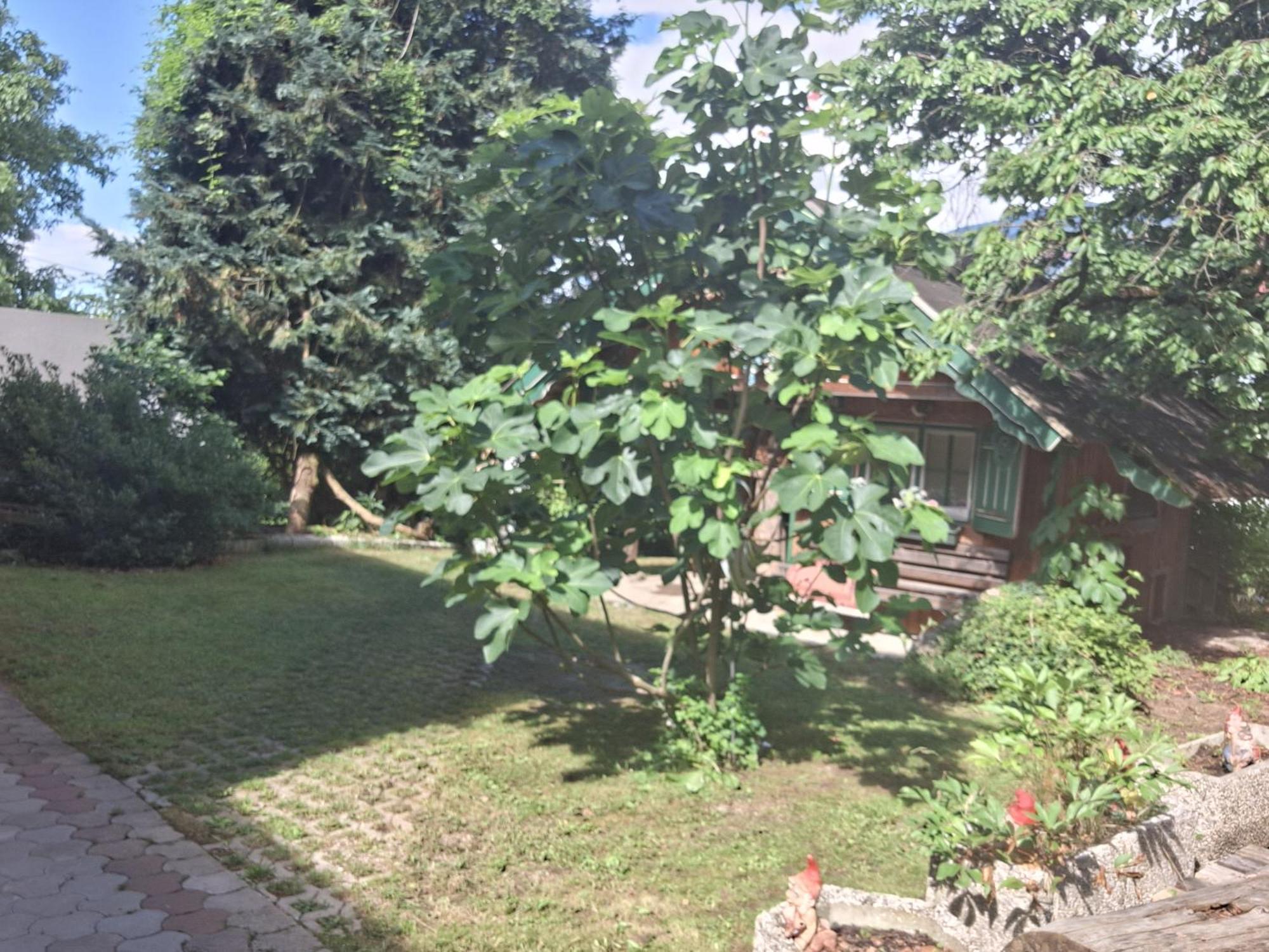Holiday home Ganzes Haus Mit Almcharakter Lieserbrucke